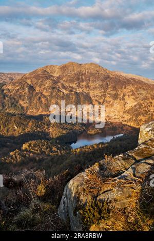 Blick auf Loch Katrine, Ben Venue und Wälder bei Sonnenaufgang von Ben Aan Stockfoto