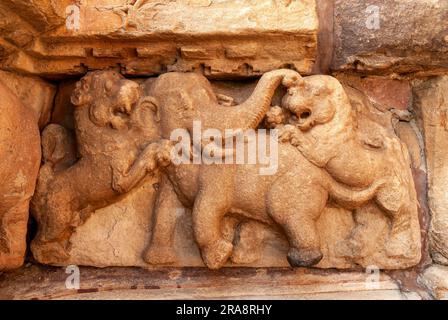 Skulptur eines Elefanten aus dem 8. Jahrhundert mit Löwen im Papanatha-Tempel in Pattadakal, Karnataka, Indien, Asien. Unesco-Weltkulturerbe Stockfoto