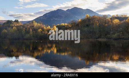 Blick auf Loch Achray am Bankside während eines sonnigen Abends im Frühling mit Ben Venue im Hintergrund Stockfoto