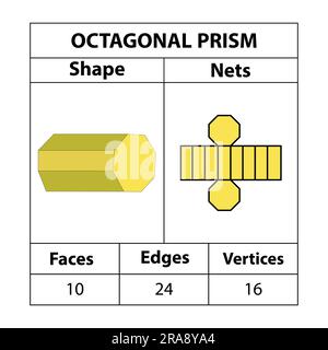 Achteckige Prismennetze, Flächen, Kanten und Eckpunkte. Geometrische Figuren sind isoliert auf einem weißen Hintergrund angeordnet. Geometrische 3D Formen Netze. In Mathematik. Stock Vektor