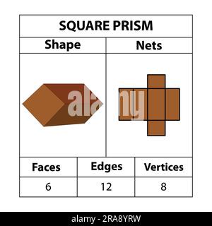 Quadratische Prismennetze, Flächen, Kanten, Eckpunkte. Geometrische Figuren sind isoliert auf einem weißen Hintergrund angeordnet. Geometrische 3D Formen Netze. In Mathematik. vektor Stock Vektor