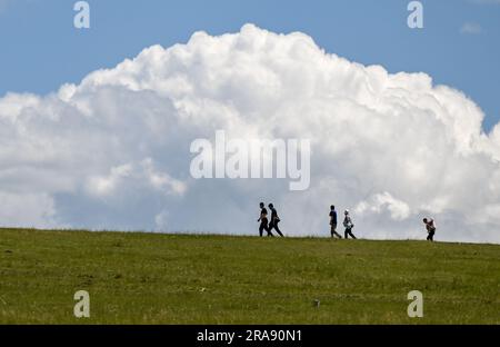 Hulun Buir, Chinas autonome Region der inneren Mongolei. 1. Juli 2023. Menschen gehen auf dem Grasland in Hulun Buir, Nordchina innere Mongolei Autonome Region, 1. Juli 2023. Kredit: Lian Zhen/Xinhua/Alamy Live News Stockfoto