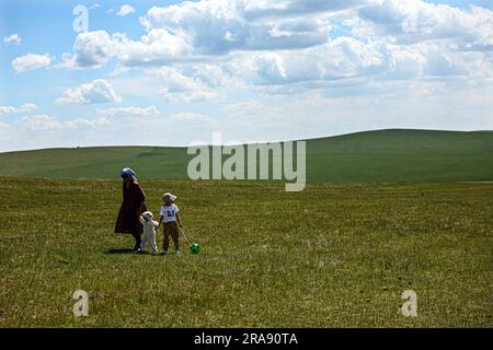 Hulun Buir, Chinas autonome Region der inneren Mongolei. 1. Juli 2023. Menschen gehen auf dem Grasland in Hulun Buir, Nordchina innere Mongolei Autonome Region, 1. Juli 2023. Kredit: Lan Hongguang/Xinhua/Alamy Live News Stockfoto