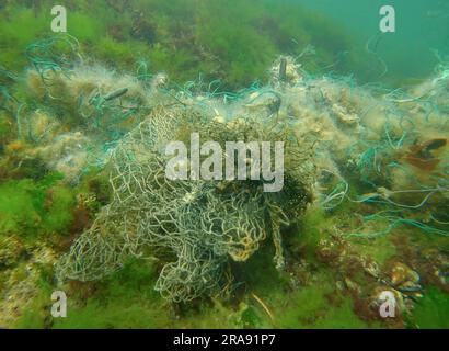 Verlorenes Fangnetz liegt auf dem Meeresboden in den grünen Algen Ulva an einem hellen Sonnentag im Schwarzen Meer, Geisterverseuchung der Meere und Ozeane, Schwarzes Meer, Stockfoto