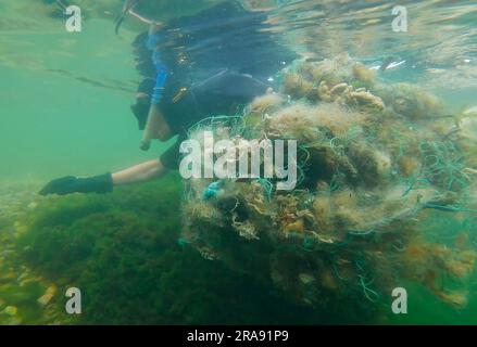 Freediver fängt verlorene Fischernetze auf grünen Algen auf, blendet auf seichtem Wasser im Schwarzen Meer, Geisterausrüstung Verschmutzung des Ozeans, Schwarzes Meer, Odessa, Stockfoto