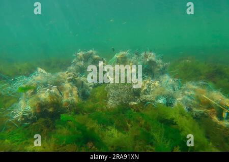 Verlorenes Fangnetz liegt auf dem Meeresboden in den grünen Algen Ulva an einem hellen Sonnentag im Schwarzen Meer, Geisterverseuchung der Meere und Ozeane, Schwarzes Meer, Stockfoto