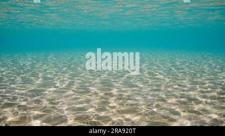 Sandiges, flaches Wasser in der Sonne und Blendung auf dem Meeresboden. Sonnenlicht durchdringt die Oberfläche von türkisfarbenem Wasser und blendet auf sandigem Boden in seichtem Wasser Stockfoto