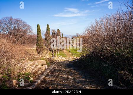 Pfad entlang der archäologischen Ausgrabungsstätte Sizilien Griechische archäologische Ausgrabungsstätte Morgantina, im Inneren Siziliens in Italien. Stockfoto