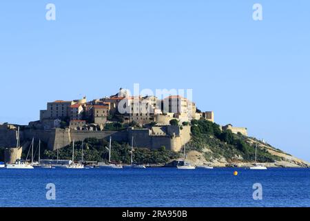 Blick auf den Hafen und die Zitadelle von Calvi auf Korsika. Frankreich Stockfoto