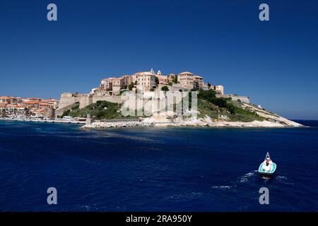 Blick auf den Hafen und die Zitadelle von Calvi auf Korsika. Frankreich Stockfoto