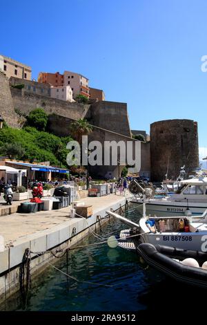 Blick auf den Hafen und die Zitadelle von Calvi auf Korsika. Frankreich Stockfoto