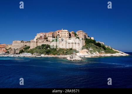 Blick auf den Hafen und die Zitadelle von Calvi auf Korsika. Frankreich Stockfoto