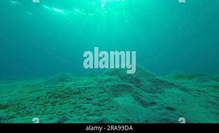 17. Juni 2023, Rotes Meer, Ägypten: Die Sonnenstrahlen der Morgensonne brechen durch die Wasseroberfläche und fallen auf den mit grünen Algen bedeckten Sandboden, Rotes Meer, Ägypten (Kreditbild: © Andrey Nekrasov/ZUMA Press Wire) NUR REDAKTIONELLE VERWENDUNG! Nicht für den kommerziellen GEBRAUCH! Stockfoto