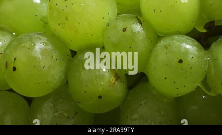 Nahaufnahme von einem Haufen grüner Trauben mit Wassertropfen Stockfoto