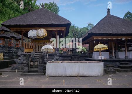 Goa Gajah oder Elefantenhöhle befindet sich auf der Insel Bali in der Nähe von Ubud, Bali Indonesien. Erbaut im 9. Jahrhundert, diente es als Heiligtum. Stockfoto