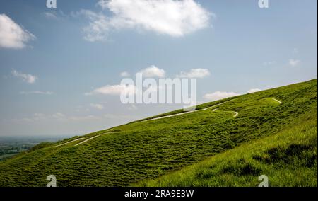 Die Cut Chalk Bronze Age Figur des Uffington White Horse in Oxfordshire, Großbritannien Stockfoto