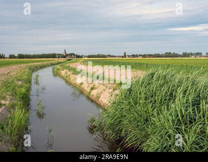 kanal und Felder in der belgischen Provinz westflandern Stockfoto