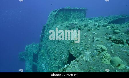 An Bord und Kabine sind Korallen auf dem Schiffswrack der Fähre Salem Express auf blauem Wasser Hintergrund, rotes Meer, Safaga, Ägypten überwuchert Stockfoto