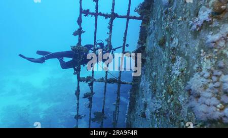 Rotes Meer, Ägypten. 24. Juni 2023. Tauchdeck der Fähre Salem Express Schiffswrack, Rotes Meer, Safaga, Ägypten (Kreditbild: © Andrey Nekrasov/ZUMA Press Wire) NUR REDAKTIONELLE VERWENDUNG! Nicht für den kommerziellen GEBRAUCH! Stockfoto