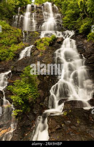 Amicalola Falls State Park in Georgia Stockfoto