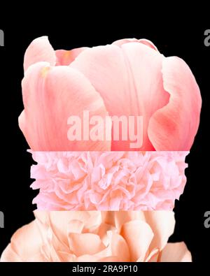 Farbenfrohes Mashup mit abstraktem Blumenmuster auf schwarzem Hintergrund Stockfoto