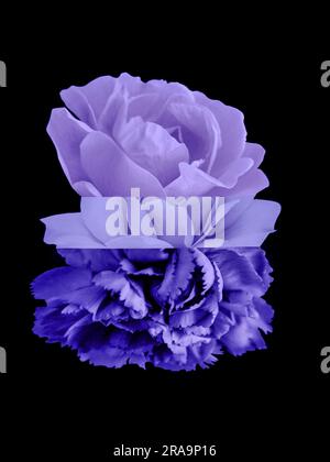 Farbenfrohes Mashup mit abstraktem Blumenmuster auf schwarzem Hintergrund Stockfoto
