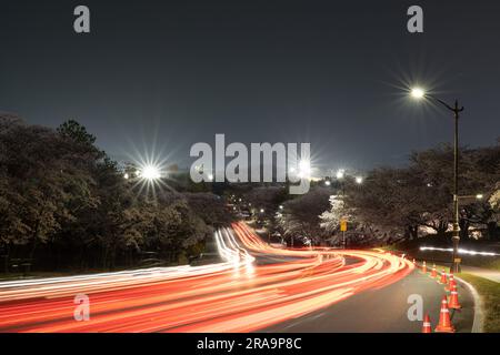 Eine nächtliche Zeitachse des Verkehrs zur Kirschblütensaison Südkorea Stockfoto