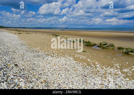 Speeton Sands bei Low Tide. Diese Gegend ist ein Ende der Filey Bay in North Yorkshire. Dies ist in der Nähe der Chlak-Klippen - daher die weißen Steine. Stockfoto