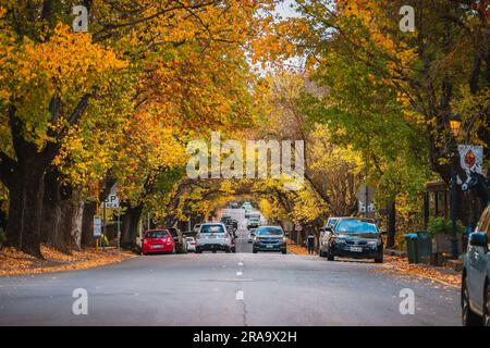 Adelaide Hills, Südaustralien - 1. Mai 2021: Blick auf die Hahndorf Main Street mit Auto während der Herbstsaison Stockfoto