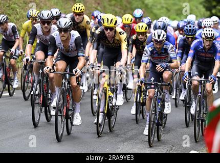 San Sebastian, Spanien. 02. Juli 2023. Das Reiterpaket, das während der zweiten Etappe des Radrennens Tour de France in Aktion gezeigt wurde, einem 208 km langen 9-km-Rennen von Vitoria-Gasteiz nach San Sebastian, Spanien, Sonntag, den 02. Juli 2023. Die diesjährige Tour de France findet vom 01. Bis 23. Juli 2023 statt. BELGA PHOTO DIRK WAEM Credit: Belga News Agency/Alamy Live News Stockfoto