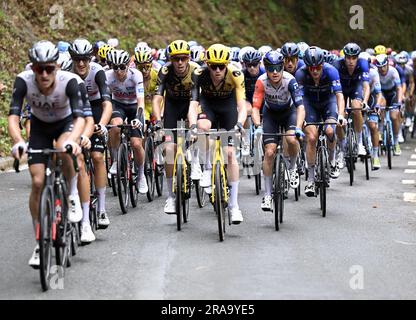 San Sebastian, Spanien. 02. Juli 2023. Das Reiterpaket, das während der zweiten Etappe des Radrennens Tour de France in Aktion gezeigt wurde, einem 208 km langen 9-km-Rennen von Vitoria-Gasteiz nach San Sebastian, Spanien, Sonntag, den 02. Juli 2023. Die diesjährige Tour de France findet vom 01. Bis 23. Juli 2023 statt. BELGA PHOTO DIRK WAEM Credit: Belga News Agency/Alamy Live News Stockfoto