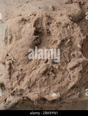 Nahaufnahme des verschmutzten Staubfilters des Staubsaugers, Konzept für die Wartung von Haushaltsgeräten, gesammelter Schmutz im Vollbildhintergrund, eingeklemmte Felle und Schmutz, Stockfoto