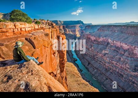 Mann sitzt auf der Hermit Schiefer Mauer am Toroweap Overlook, 3000 ft (900 m) über dem Colorado River, Sonnenaufgang, Grand Canyon National Park, Arizona, USA Stockfoto