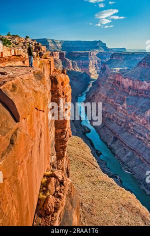 Mann, der auf der Hermit-Schiefermauer am Toroweap Overlook steht, 3000 ft (900 m) über dem Colorado River, Sonnenaufgang, Grand Canyon National Park, Arizona USA Stockfoto