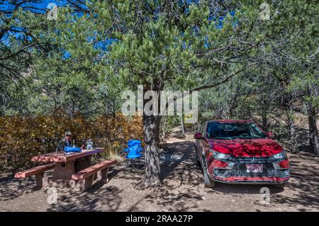 Campingplatz am Indian Hollow Campground, Kaibab Plateau, Kaibab National Forest, in der Nähe des Little Saddle ViewPoint am Grand Canyon, Arizona, USA Stockfoto