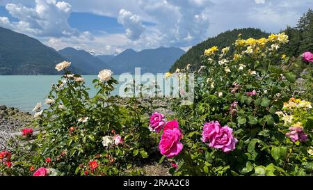 Oliver's Landing Beach, Furry Creek, British Columbia, Kanada Stockfoto