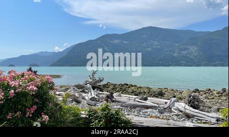 Oliver's Landing Beach, Furry Creek, British Columbia, Kanada Stockfoto