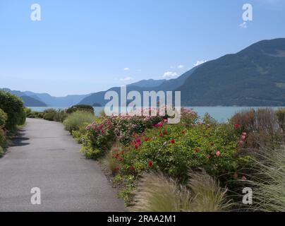 Oliver's Landing Beach, Furry Creek, British Columbia, Kanada Stockfoto