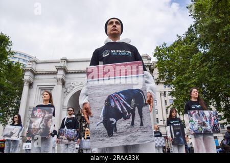 London, England, Großbritannien. 2. Juli 2023. Ein Aktivist hat ein Foto vom Stierkampf. Tierschützer der Gruppe Wir stehen für die Tiere, die am Marble Arch ein Denkmal für Milliarden von Tieren veranstaltet haben, die von Menschen für Nahrung, Kleidung, Unterhaltung und andere menschliche Aktivitäten ausgebeutet, missbraucht und getötet wurden. Die Aktivisten hielten Bilder von verschiedenen Arten sowie von Körpern von echten Tieren, die an natürlichen Ursachen, im Gedenken an Tiere weltweit und aus Protest gegen Speziesismus starben. (Kreditbild: © Vuk Valcic/ZUMA Press Wire) NUR REDAKTIONELLE VERWENDUNG! Nicht für den kommerziellen GEBRAUCH! Stockfoto