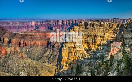 Angels Window am Nordrand, Südrand in der Ferne, Grand Canyon-Nationalpark, Arizona, USA Stockfoto