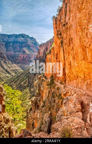 Steile Mauern über dem North Kaibab Trail im Roaring Springs Canyon, unterhalb des Nordrands, Grand Canyon-Nationalpark, Arizona, USA Stockfoto