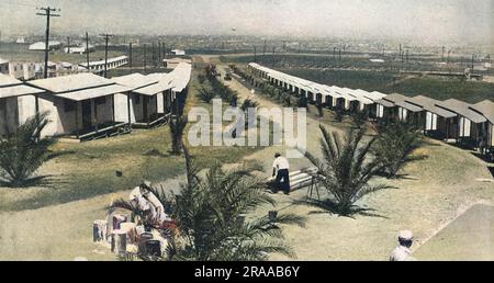 Palmengesäumte Hüttenstraßen, in denen jeweils vier Personen für die Olympischen Spiele 1932 in Los Angeles Platz finden. Das Olympische Dorf liegt im Hochland mit Blick auf den Pazifischen Ozean. Datum: 1932 Stockfoto