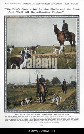 Page von der Tatler berichtete mit Bravado über eine Gruppe britischer Offiziere, die in der Nähe der Front auf die Jagd gingen, komplett mit einem Päckchen Beagles (gesendet mit Erlaubnis der Militärbehörde). Datum: 1915 Stockfoto