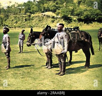 Simla, wo sich die Briten in Indien im Laufe der Monate versammelten. Lady Doreen Hope, die jüngste der drei Töchter der Marquise von Linlithgow, Vizekönig von Indien, wird auf der Simla Horse Show, einer beliebten jährlichen Veranstaltung, bei der sie an mehreren Veranstaltungen teilnahm, gezeigt. Datum: 1937 Stockfoto