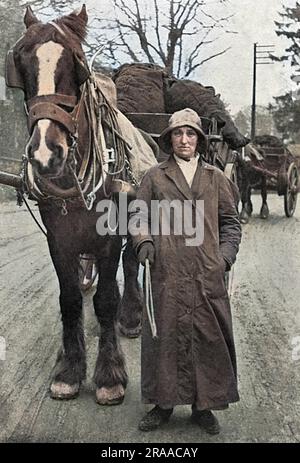 Eine Dame von Grasmere, die auf Betreiben ihres Dieners seine „harte Arbeit“ aufnahm und in der Ersten Welt bei jedem Wetter achtzehn Meilen pro Tag überquerte. Krieg. Das Foto zeigt, wie sie mit Kohle von der Windermere Station nach Grasmere zurückkehrt. Datum: 1916 Stockfoto