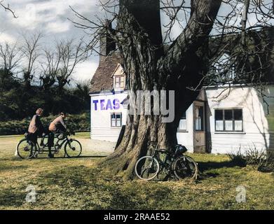 Das ist ein Zeichen, dem kein echter Radfahrer widerstehen kann! Ein paar Radfahrer auf einem Tandem nähern sich den Teestuben im Waterford Post Office, Hertfordshire, England. Datum: 1930er Stockfoto