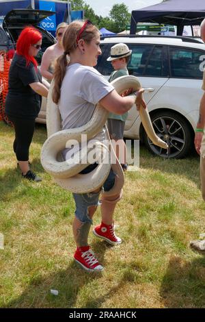 Derbyshire County Show 2023 in Elvaston Stockfoto