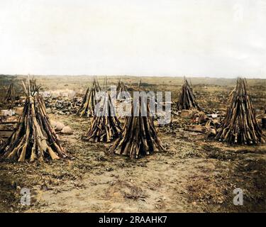 Ein Schlachtfeld nach einem Vormarsch im Ersten Weltkrieg räumen. Die Gewehre sind in Pyramidenform gestapelt. Datum: Ca. 1916 Stockfoto