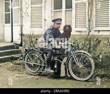 Stunter, das clevere Maskottchen des Panzerkorps, balanciert vor dem Fahrer auf einem Motorrad nahe der Westfront in Frankreich während des Ersten Weltkriegs. Datum: Mai-18 Stockfoto
