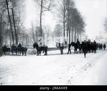 Britische Transportpferde werden im Schnee an der Westfront während des Ersten Weltkriegs ins Wasser gebracht. Datum: Ca. 1916 Stockfoto